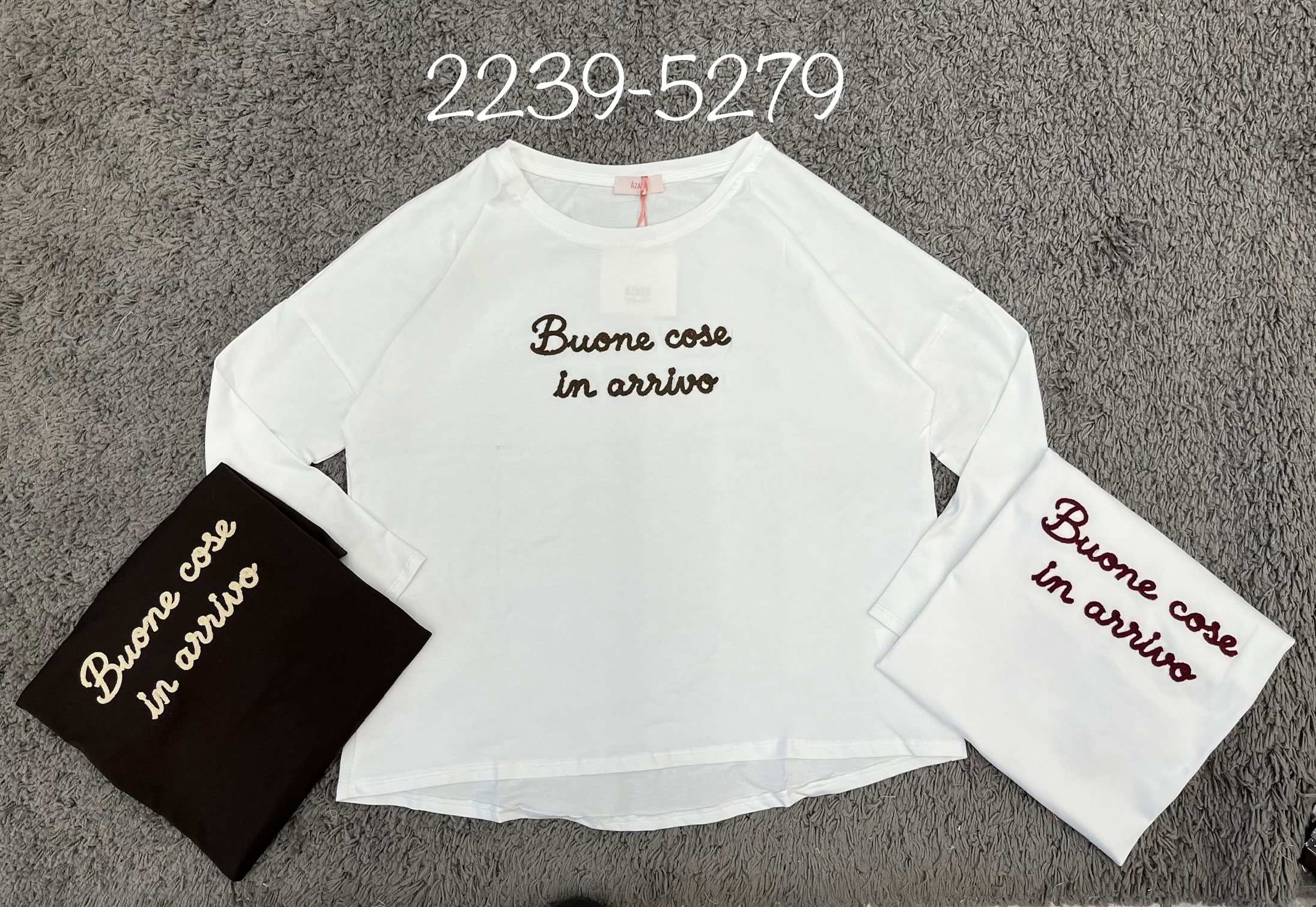 Raglan Embroidered Top