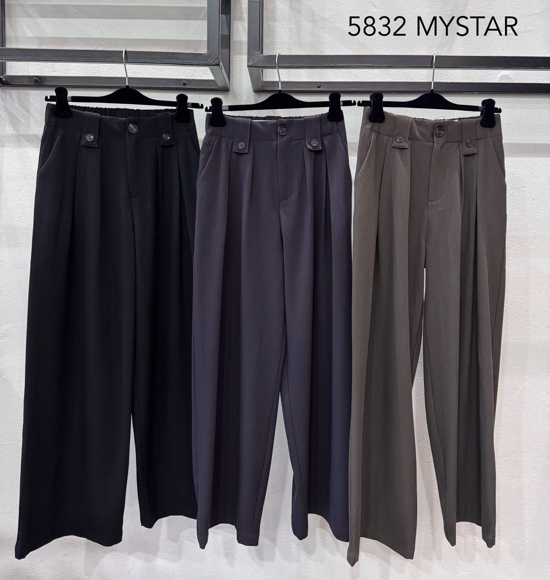 Wide Pleated Trousers
