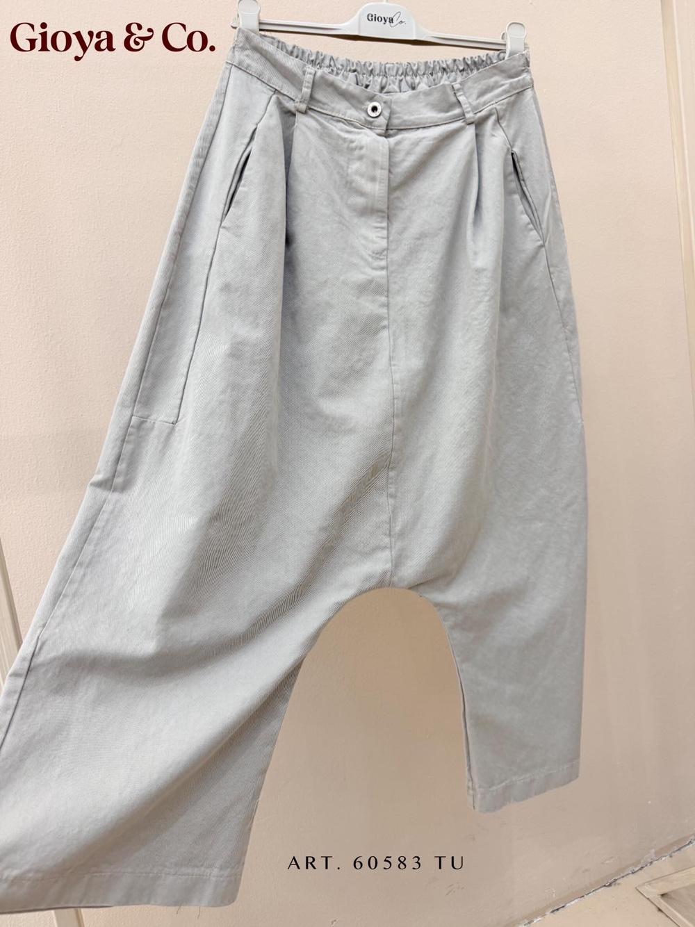 Wide Pleated Pants